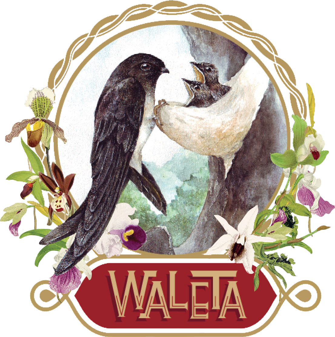 Logo Waleta